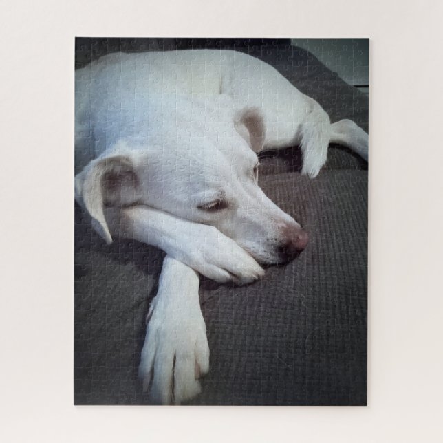 Puzzle Photo de chien blanc dormant avec de mignons patte (Vertical)