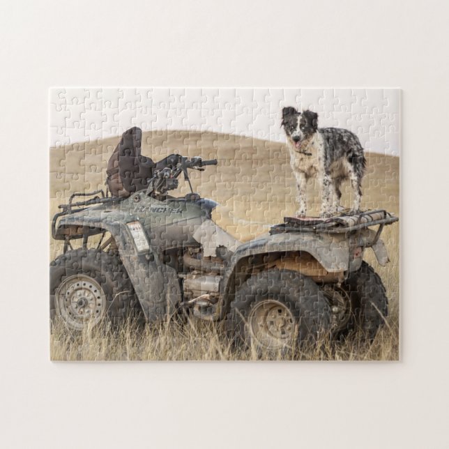 Puzzle Photo de chien de l'ATV robuste et robuste (Horizontal)