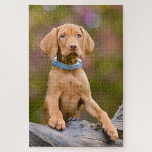 Puzzle Photo de chiot hongrois mignon et vizsla