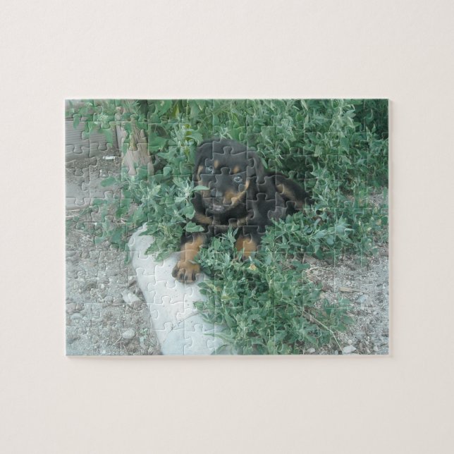 Puzzle Photo de chiot Rottweiler (Horizontal)