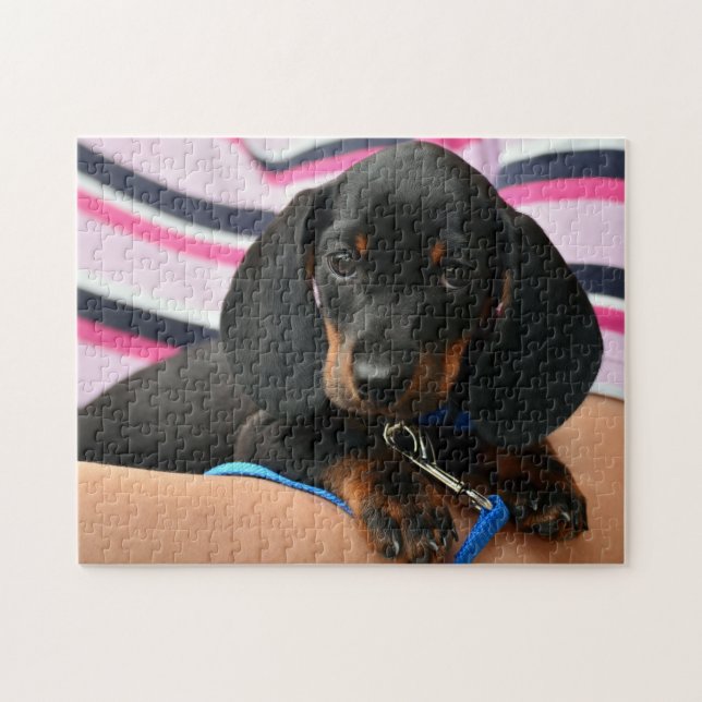 Puzzle Photo de chiot teckel mignon (Horizontal)