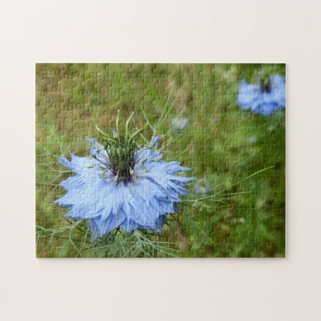 Puzzle photo de Cornflower (Horizontal)