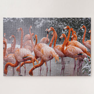 Puzzle Photo de flamants roses stimulants