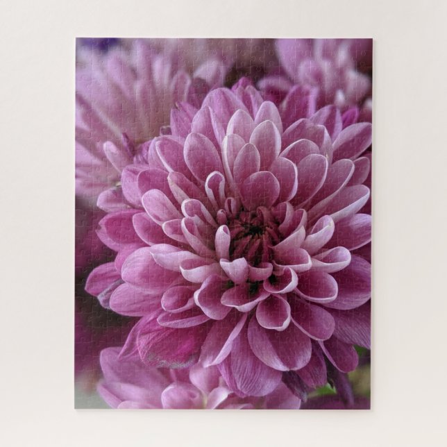 Puzzle Photo de fleur de chrysanthème rose (Vertical)