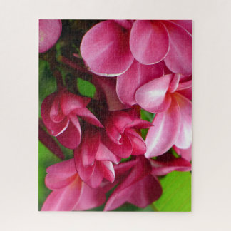 Puzzle Photo de fleur de Plumeria rose