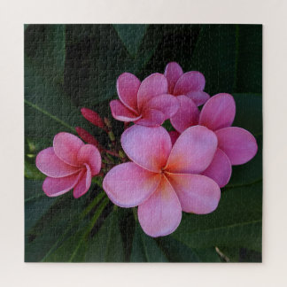 Puzzle Photo de fleur hawaïenne de plumeria rose