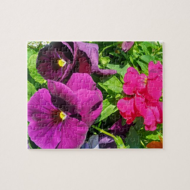 Puzzle Photo de fleurs de pensées violettes  (Horizontal)