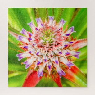 Puzzle Photo de fleurs rapprochées