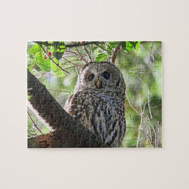 Puzzle Photo de hibou (Horizontal)