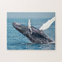 Puzzle photo de la Baleine bleue