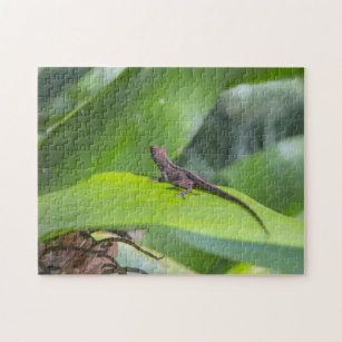 Puzzle Photo de la faune de Lizard