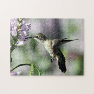 Puzzle Photo de la faune rose de colibri
