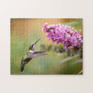 Puzzle Photo de la flore des colibris