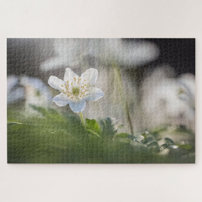 Puzzle Photo de la nature de la fleur (Horizontal)