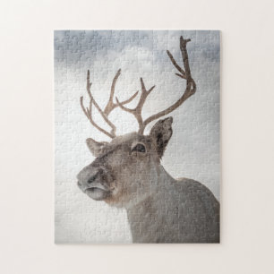 Puzzle Photo de la nature des rennes