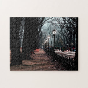 Puzzle Photo de lampadaires de paysage de Central Park