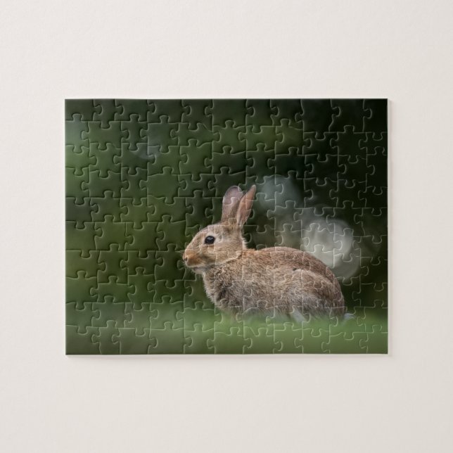 Puzzle Photo de Little Rabbit Nature (Horizontal)