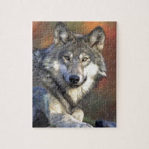 Puzzle Photo de loup