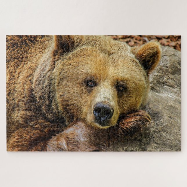 Puzzle photo de l'ours grizzli Brown (Horizontal)