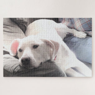 Puzzle Photo de mignon chien blanc fatigué accroché avec