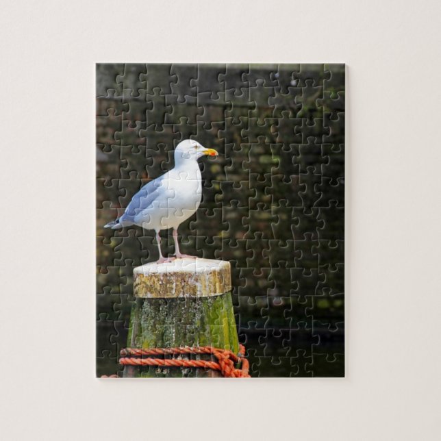 Puzzle Photo de mouette côtière et de faune océanique (Vertical)