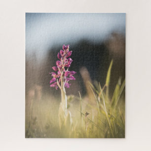Puzzle Photo de nature d'orchidée sauvage