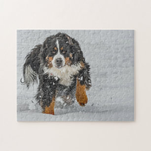 Puzzle Photo de neige du chien de montagne bernois