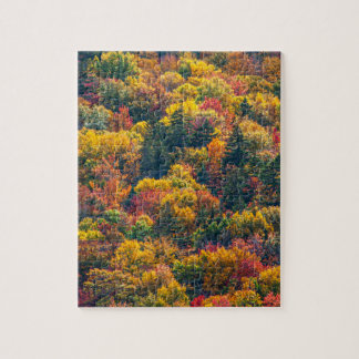 Puzzle Photo de paysage automnal de feuilles d'automne