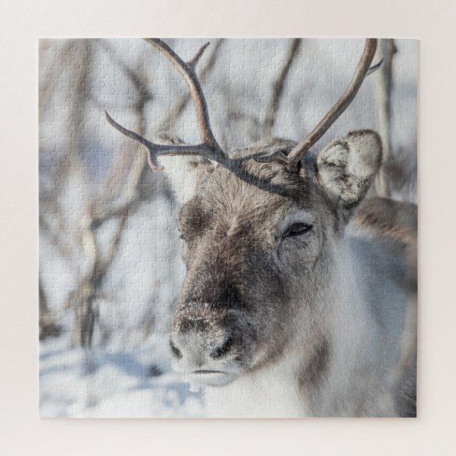 Puzzle Photo de renne dans la nature (Vertical)