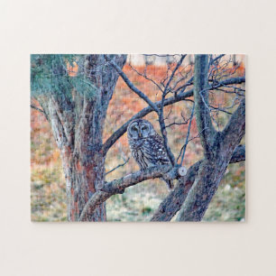 Puzzle Photo de Wildlife Barred Owl Tree