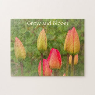 Puzzle Photo des tulipes en fleurs