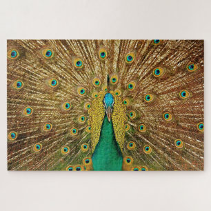 Puzzle Photo d'oiseau Peacock