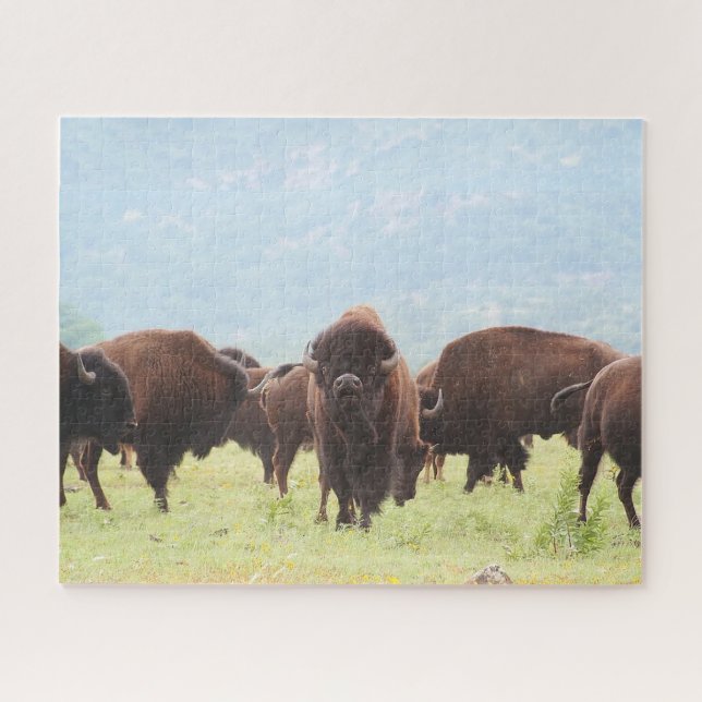 Puzzle photo du troupeau de Buffalo (Horizontal)
