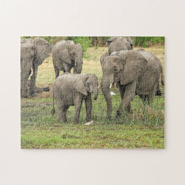 Puzzle photo du troupeau d'éléphants (Horizontal)