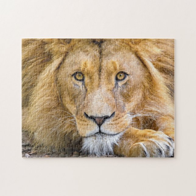 Puzzle Photo du visage du lion (Horizontal)