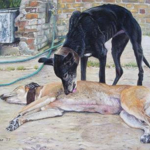 Puzzle photo d'un animal réaliste de chien de Greyhhound