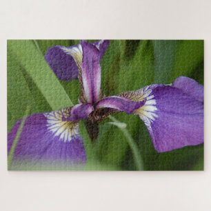 Puzzle Photo d'une belle fleur d'iris violet