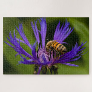 Puzzle Photo d'une belle fleur violette avec abeille