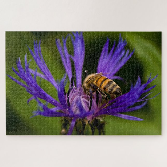 Puzzle Photo d'une belle fleur violette avec abeille (Horizontal)