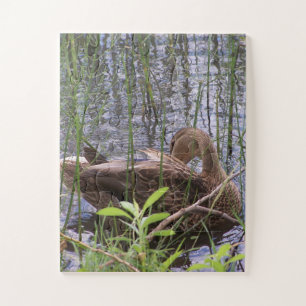 Puzzle Photo en gros plan d'un canard