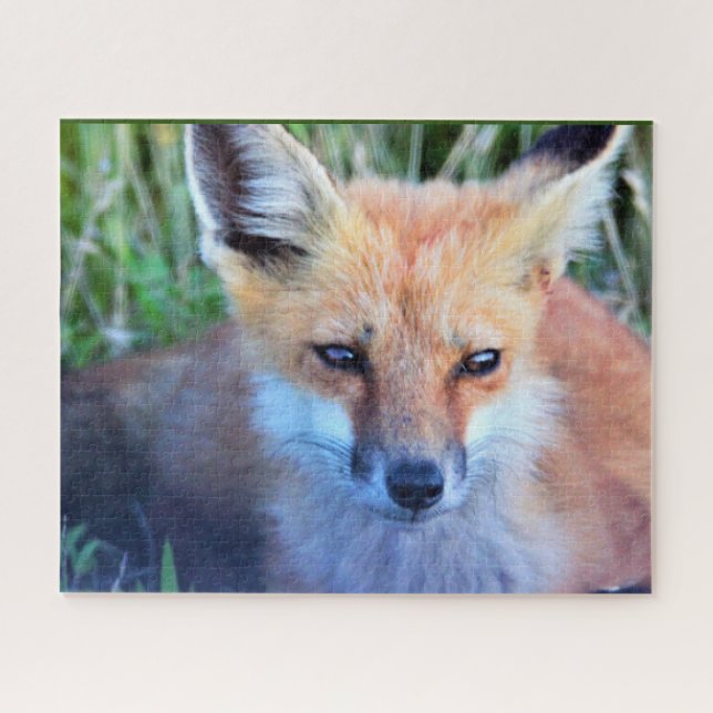 Puzzle photo Fox (Horizontal)