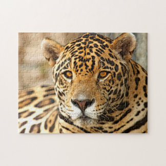 Puzzle Photo Jaguar