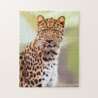 Puzzle Photo Leopard