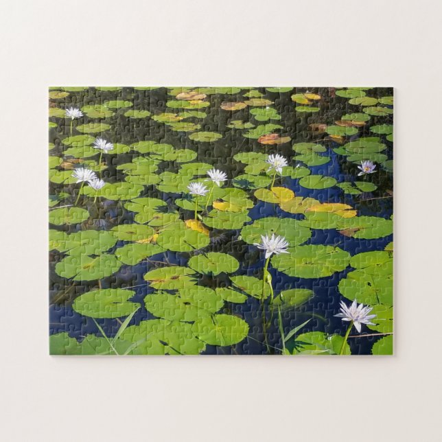Puzzle Photo Lily Pad Pond ou votre photo (Horizontal)