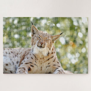 Puzzle Photo lynx, animal de compagnie, animaux 0296.