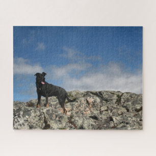 Puzzle Photo mignonne Black Dog Mutt Lab Shephered Photo
