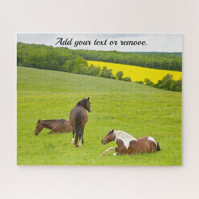 Puzzle Photo nature, chevaux bruns sauvages dans une prai (Horizontal)