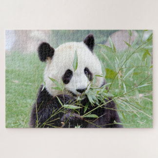 puzzle Photo panda géant, animaux 0343.