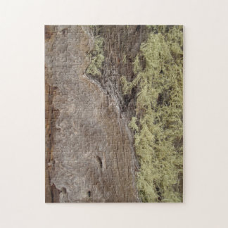 Puzzle Photo Patiné Ponderosa Pine Tree Bark