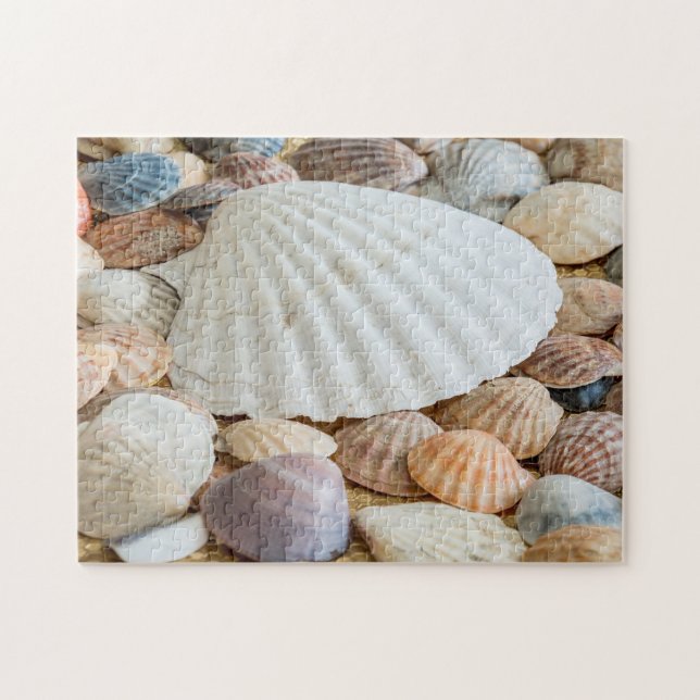 Puzzle photo Seashells (Horizontal)